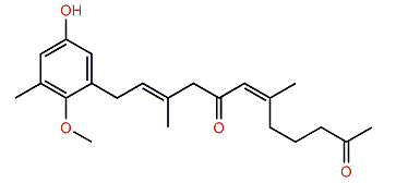 Cystomexicone A